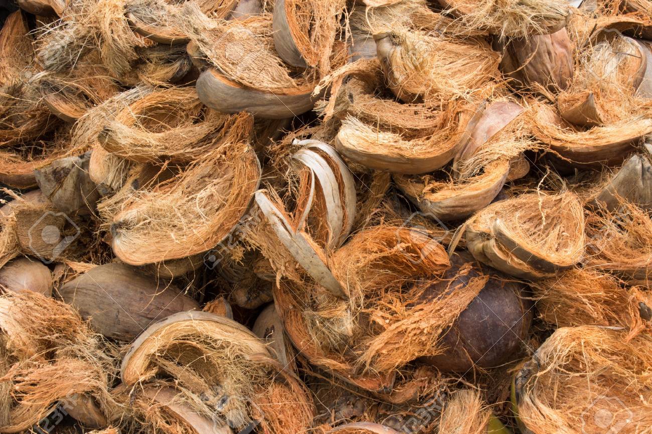 Best coconut Husked suppliers in Tamilnadu