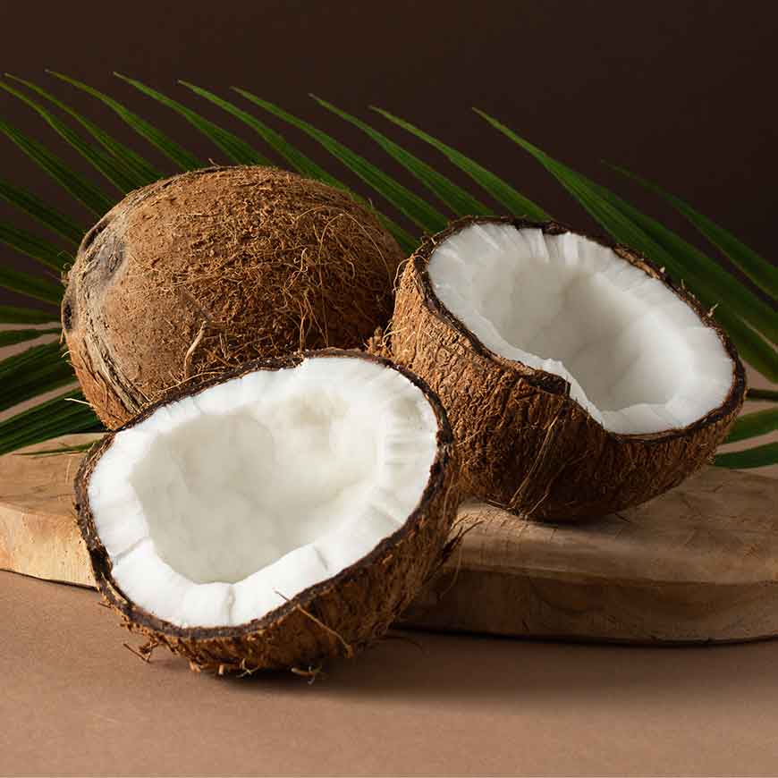 Best coconut suppliers in tamilnadu