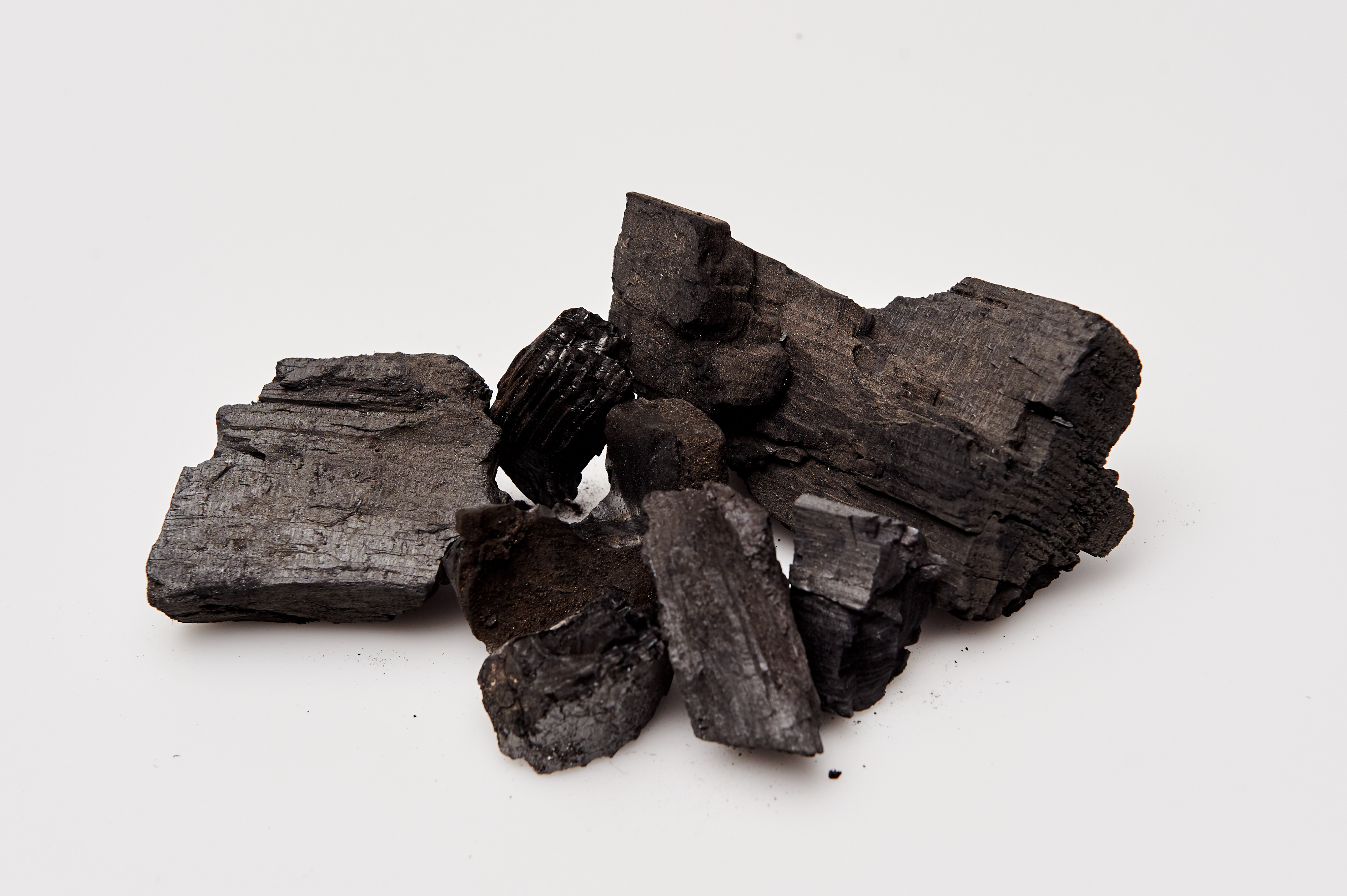 Best charcoal  suppliers in Tamilnadu