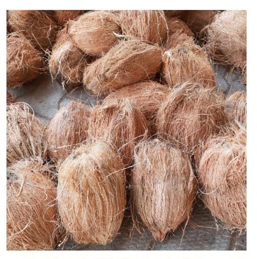 best coconut semi Husked suppliers in Tamilnadu